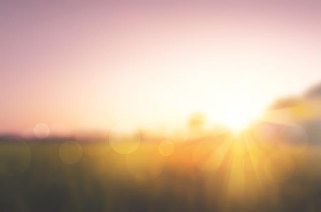 Sunset over field