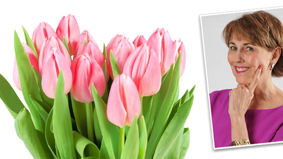 WPL tulips + Kay Frances