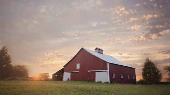 Rural Barn