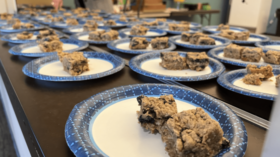 healthy blueberry granola bars - Alzheimer's