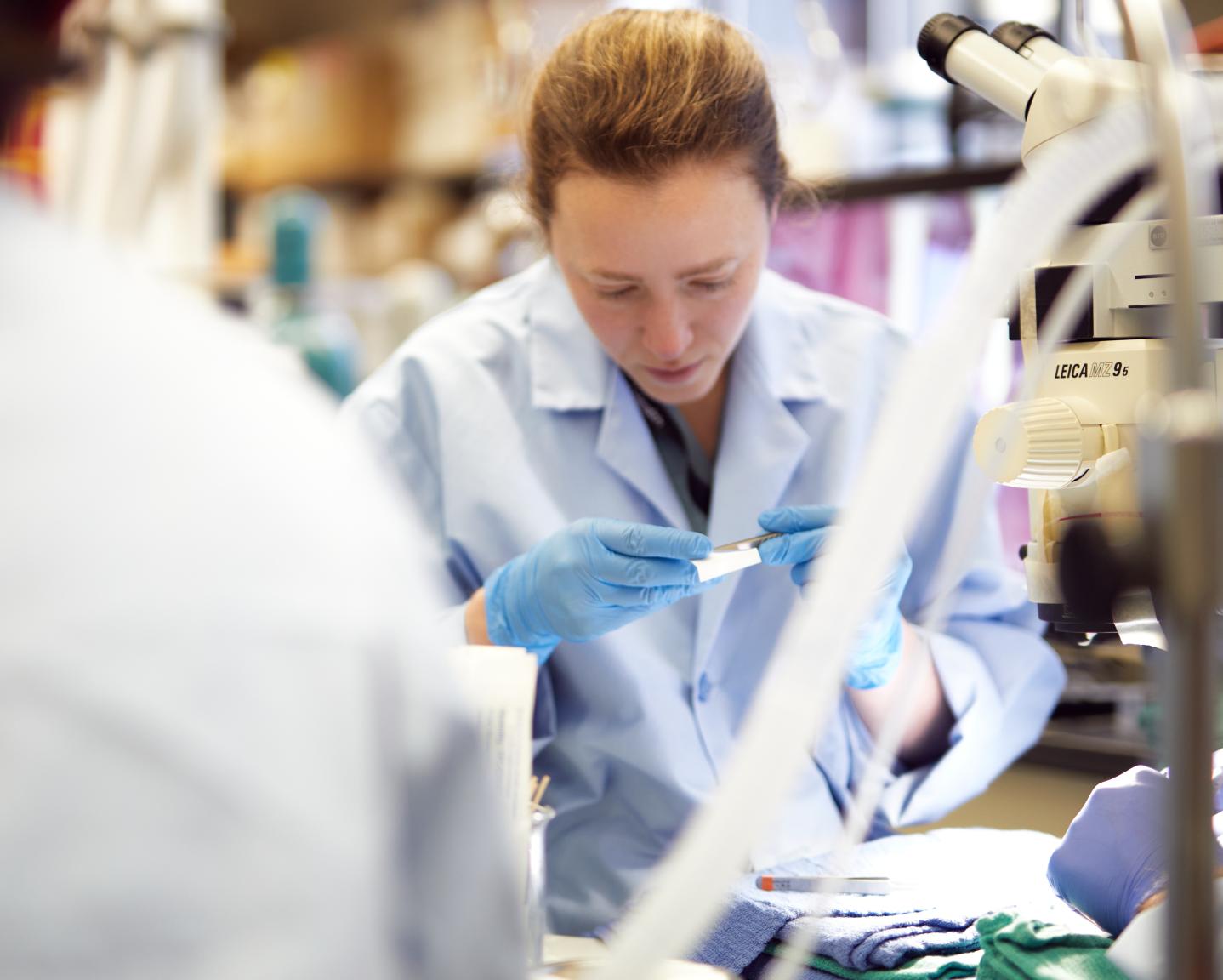 Surgeon in Plastic Surgery Research Lab