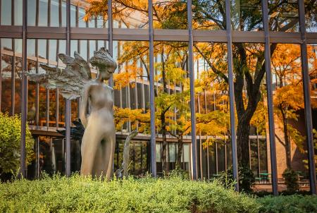 harbinger courtyard SIU Medicine