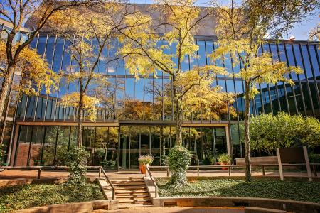 courtyard siu school of medicine campus