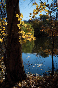 Hidden Lake